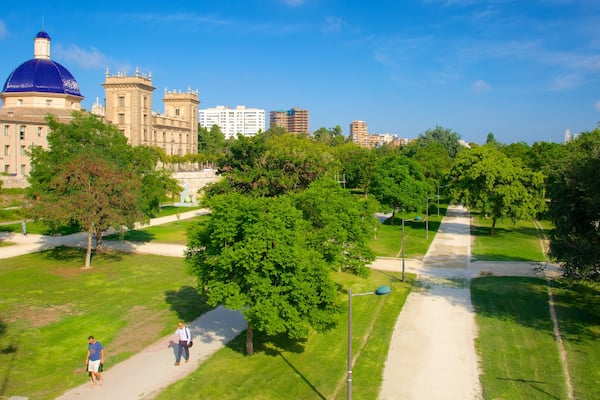 Valencia which includes performance art, a city and a park