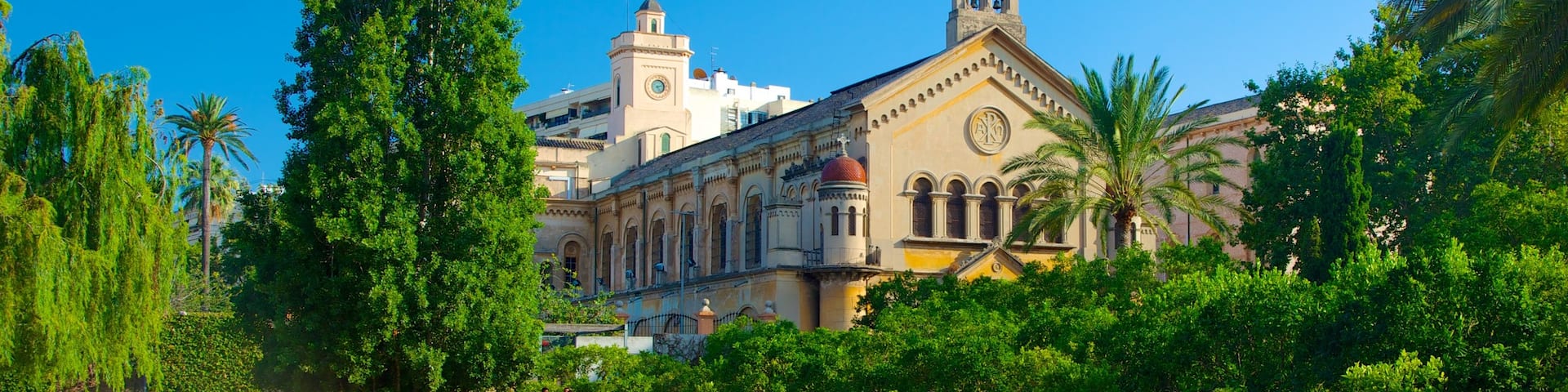 Valencia City Centre which includes a city, bird life and a park