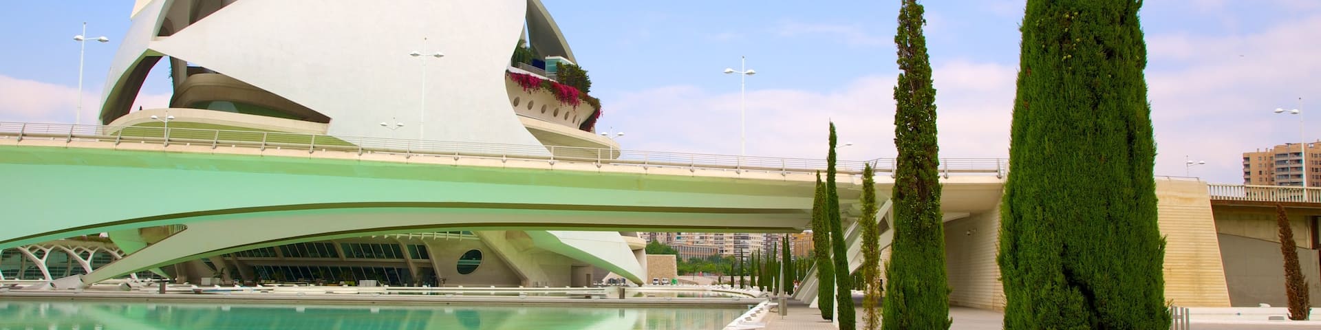City of Arts and Sciences which includes modern architecture