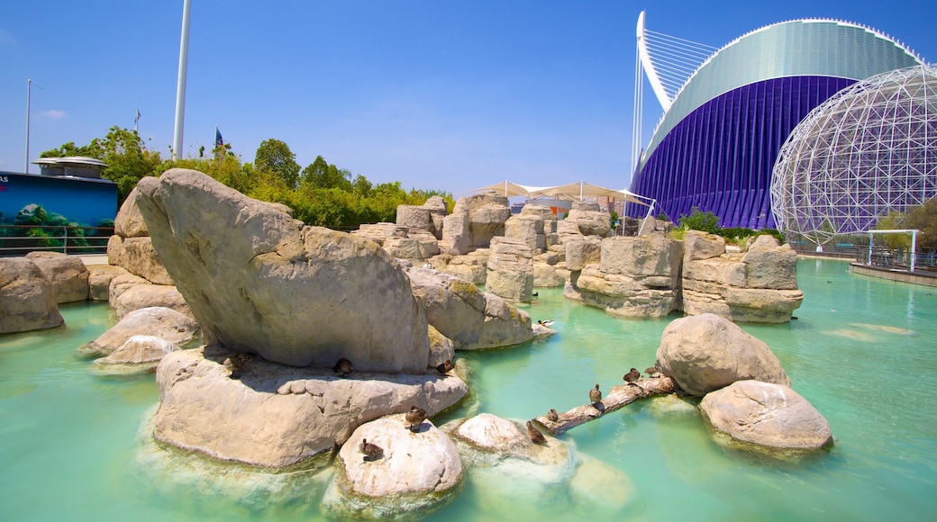 Ciudad de las Artes y las Ciencias mostrando un estanque y arquitectura moderna