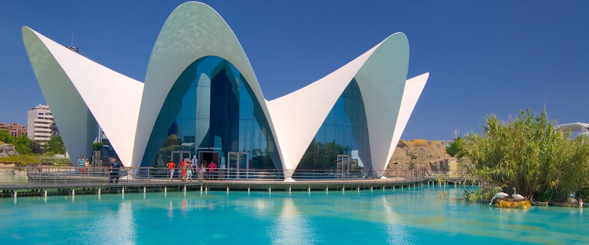 La Ciudad de las Artes y las Ciencias mit einem moderne Architektur und Stadt