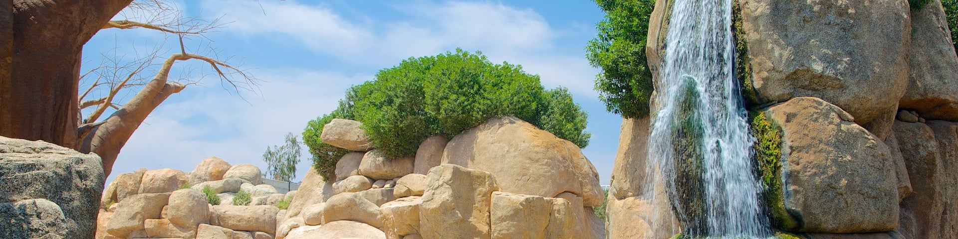 Valencia showing a cascade, land animals and zoo animals
