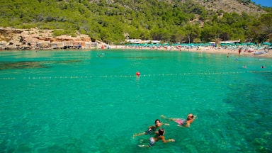 Plage de Benirras montrant scènes tropicales, baignade et plage de sable