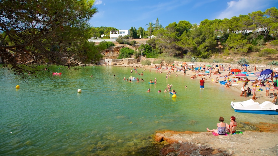 Cala Gracio showing swimming, a beach and a coastal town
