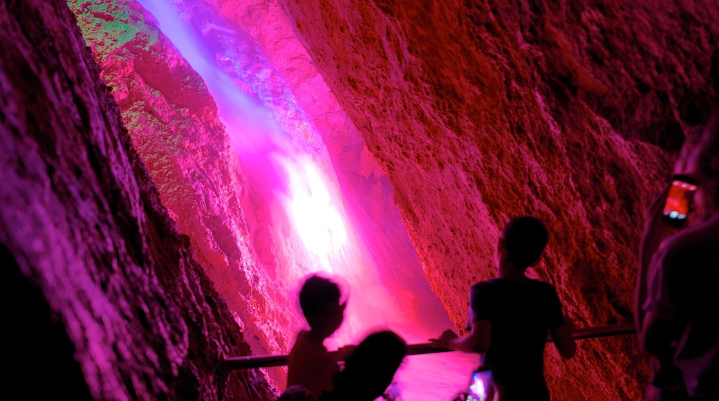 Grotta di Can Marçà che include grotte e vista interna