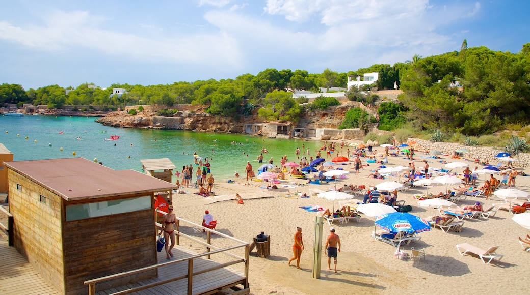 Cala Gracio which includes a beach, a coastal town and swimming