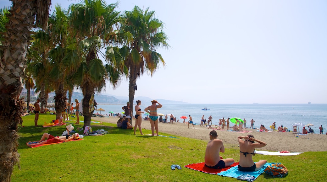 Playa de La Malagueta ofreciendo escenas tropicales, pícnic y una playa