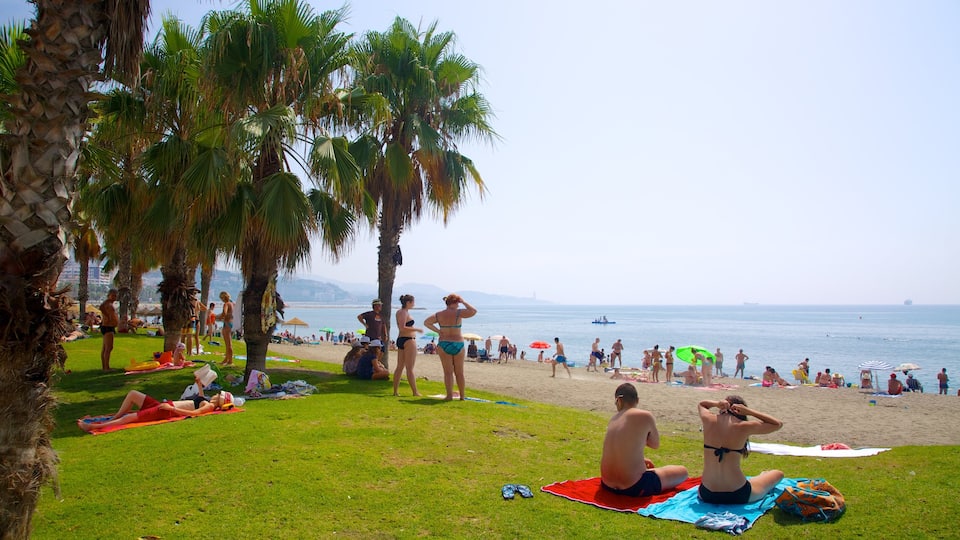 Strand von Malagueta welches beinhaltet Picknicken, tropische Szenerien und Strand
