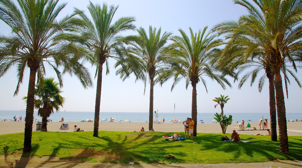 Plage de Malagueta mettant en vedette scènes tropicales et plage de sable