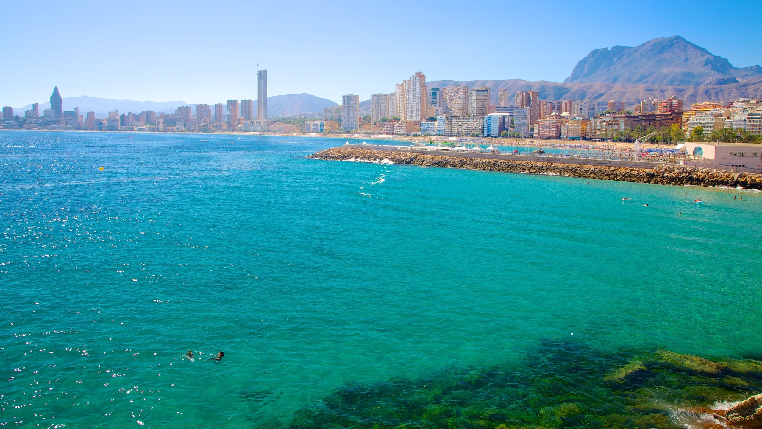 Benidorm showing a bay or harbor, general coastal views and a coastal town