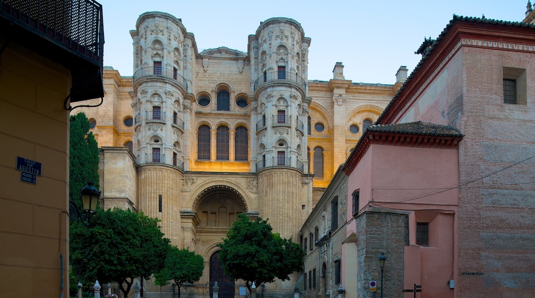 Malaga Cathedral featuring street scenes, heritage architecture and a city