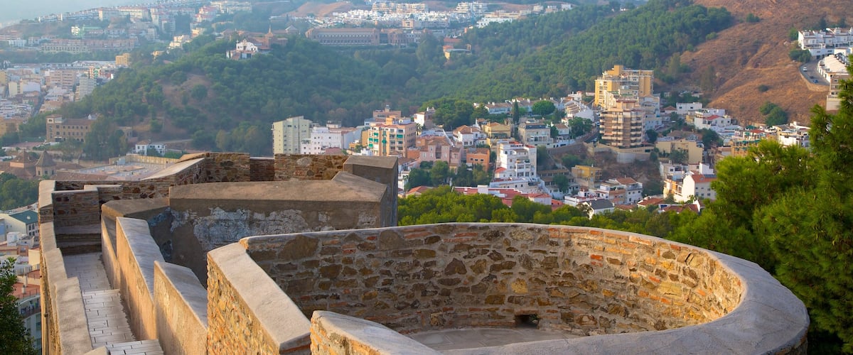 Castillo de Gibralfaro bevat mist of nevel, historische architectuur en een stad
