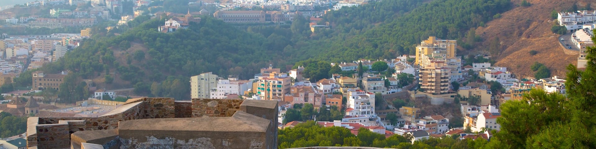 Castillo de Gibralfaro presenterar historisk arkitektur, en stad och ett slott