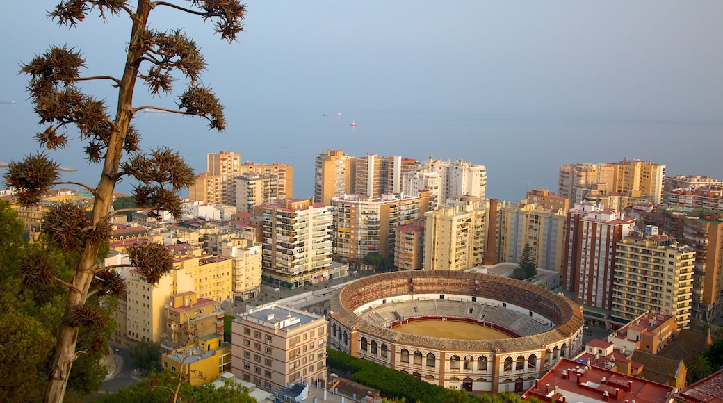 Gibralfaro Castle which includes heritage architecture, central business district and a city