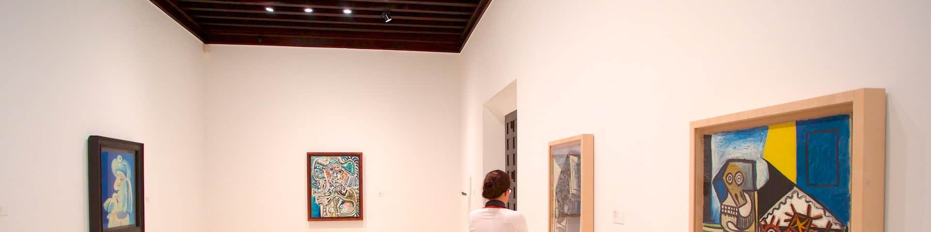 Picasso Museum Malaga which includes interior views and art as well as an individual femail