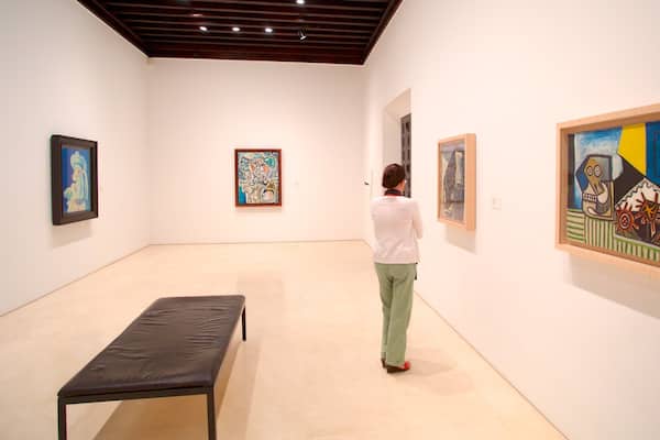 Museo Picasso das einen Kunst und Innenansichten sowie einzelne Frau