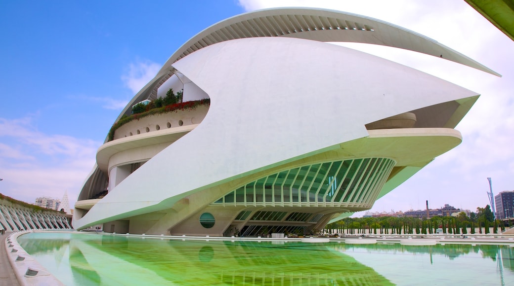 Ciudad de las Artes y de las Ciencias toont een stad en moderne architectuur