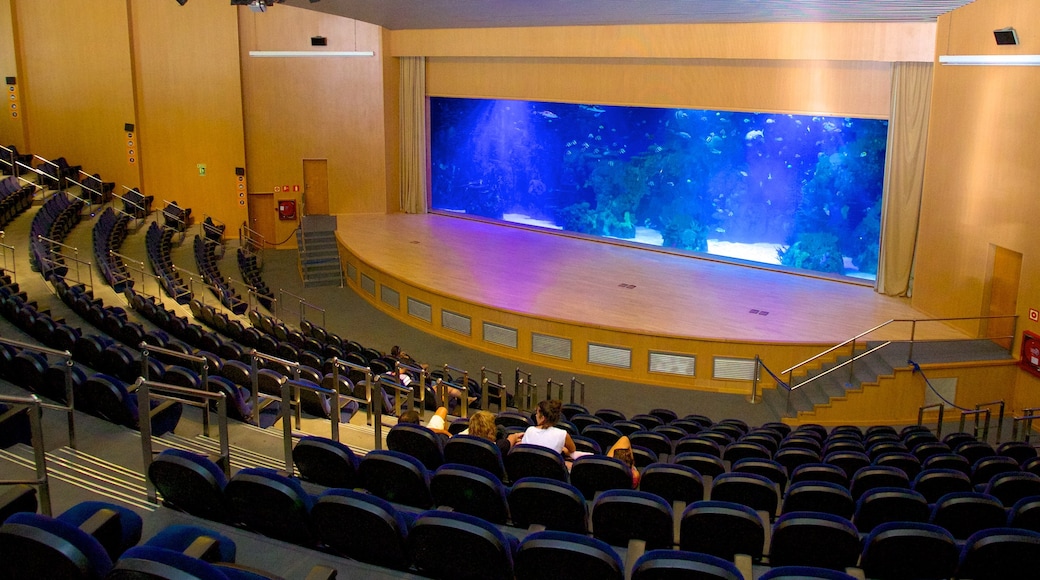 The Oceanografic Aquarium showing marine life and interior views