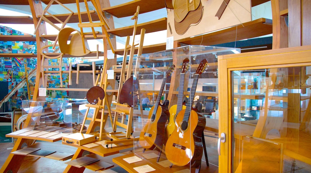 Museo de las Ciencias Príncipe Felipe ofreciendo vistas de interior y música