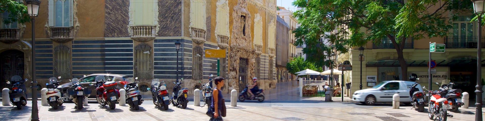 Palacio del Marqués de Dos Aguas montrant chùteau ou palais, scÚnes de rue et patrimoine architectural