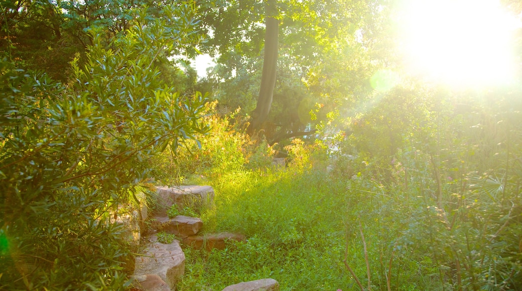 Botanischer Garten das einen Garten und Waldmotive