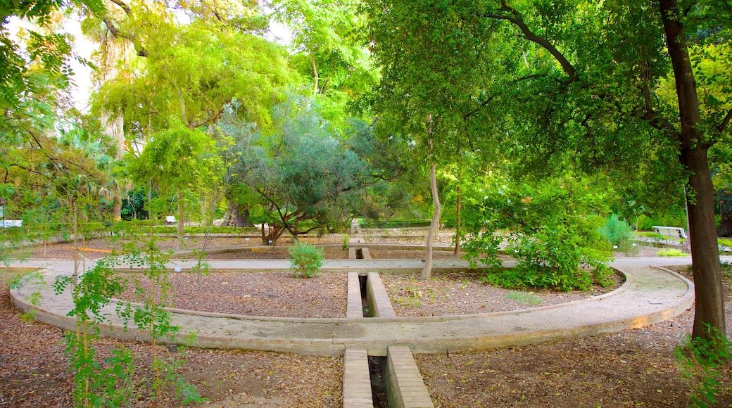 Jardín Botánico de Valencia mostrando un parque