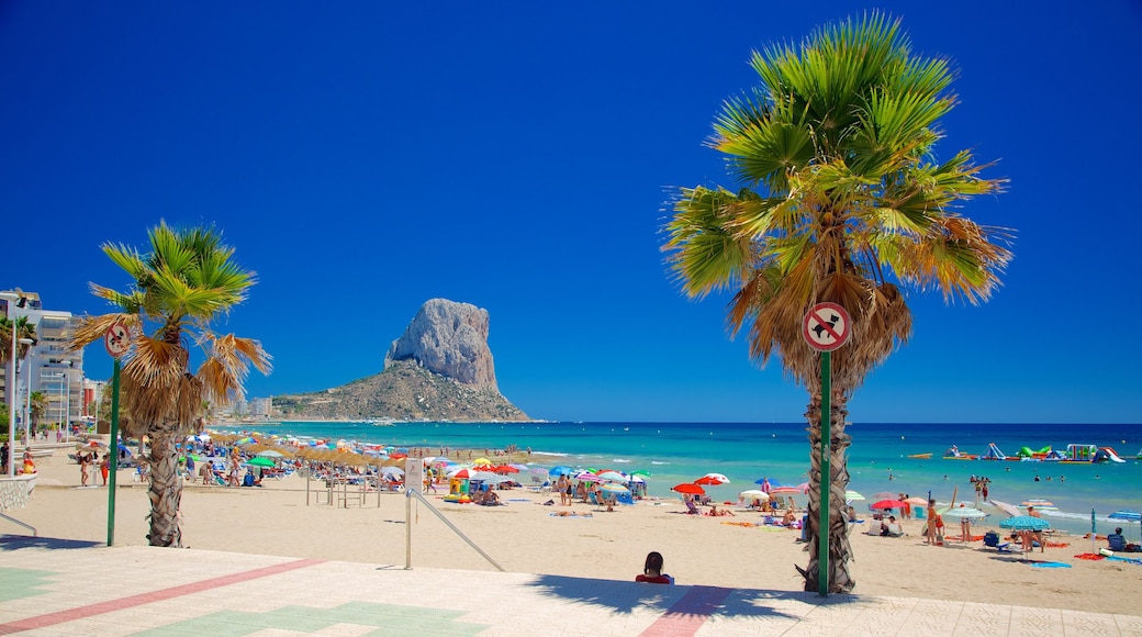 Calpe que incluye una playa