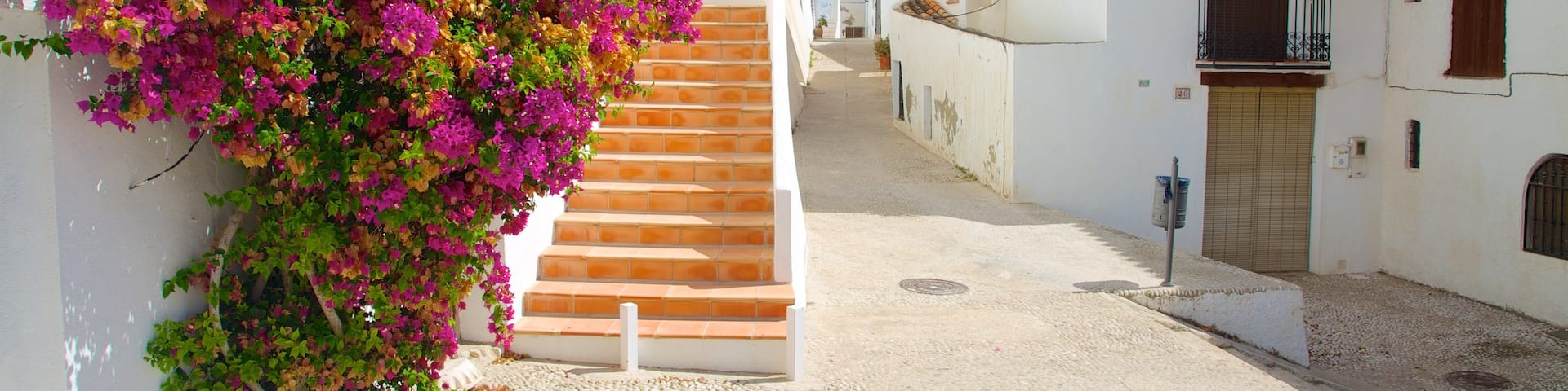 Altea som visar blommor, ett hus och gatuliv
