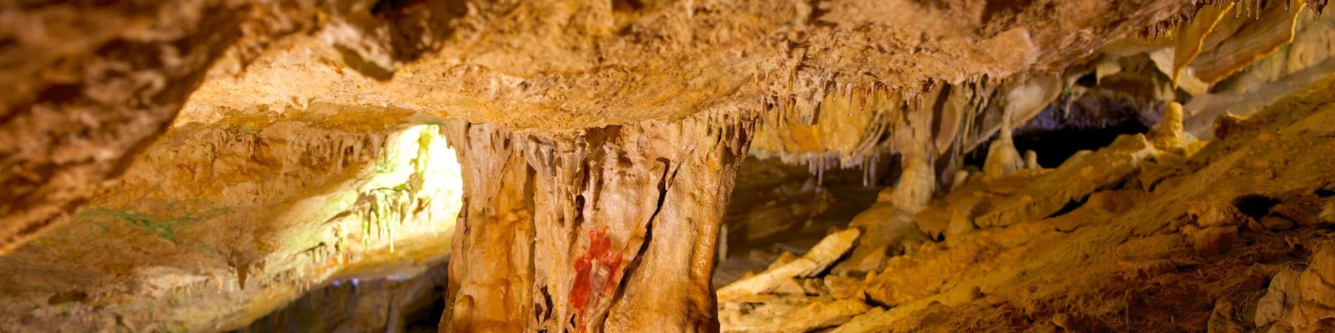 Cova de Can Marca mettant en vedette vues intérieures et grottes