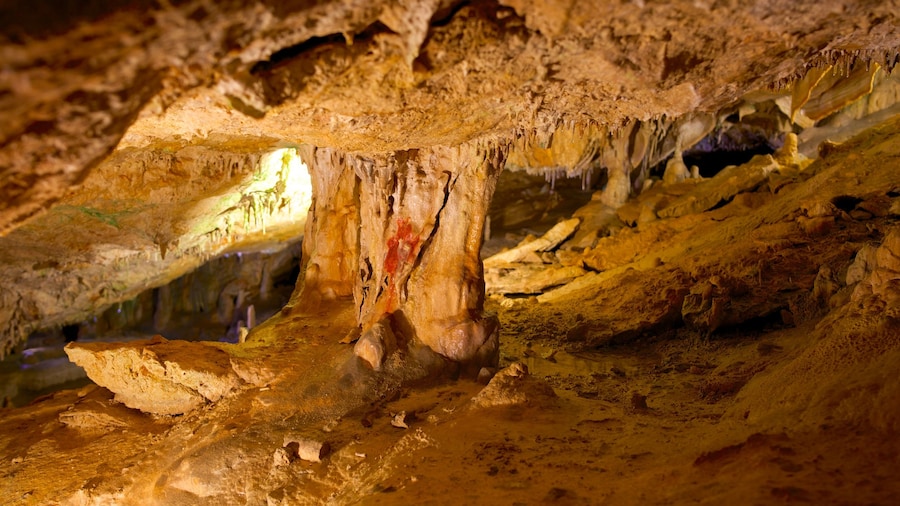 Cova de Can Marca which includes interior views and caves