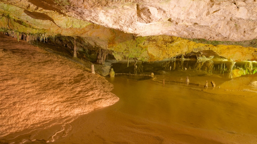 Cova de Can Marca showing a lake or waterhole and caves