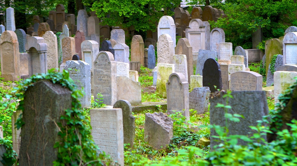 Krakow showing a cemetery and a memorial