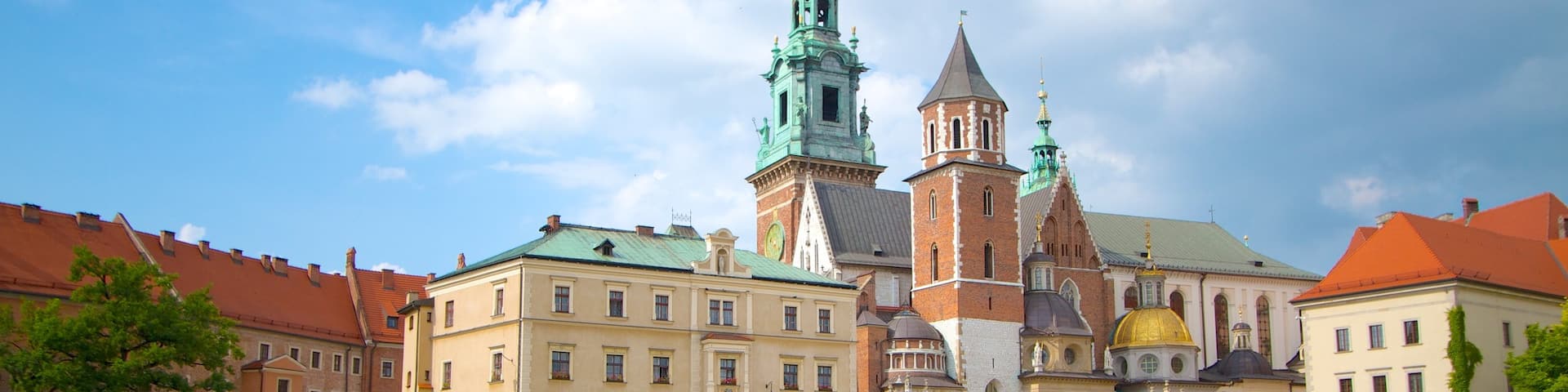 Wawel Castle showing a castle, heritage architecture and a city