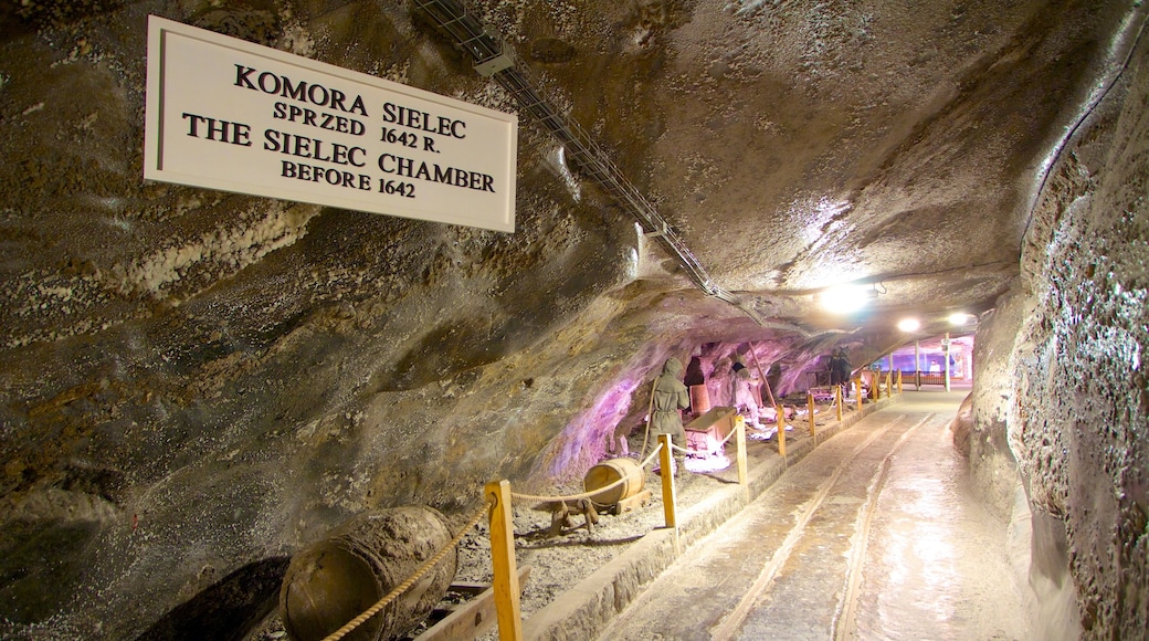 Wieliczka-saltgruvan som inkluderar interiörer, skyltar och grottor