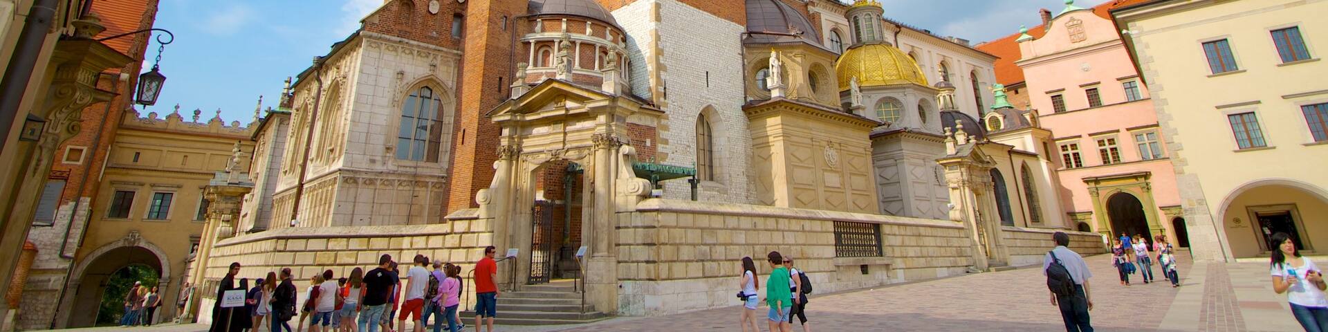 Wawel Cathedral showing a city, a square or plaza and a church or cathedral