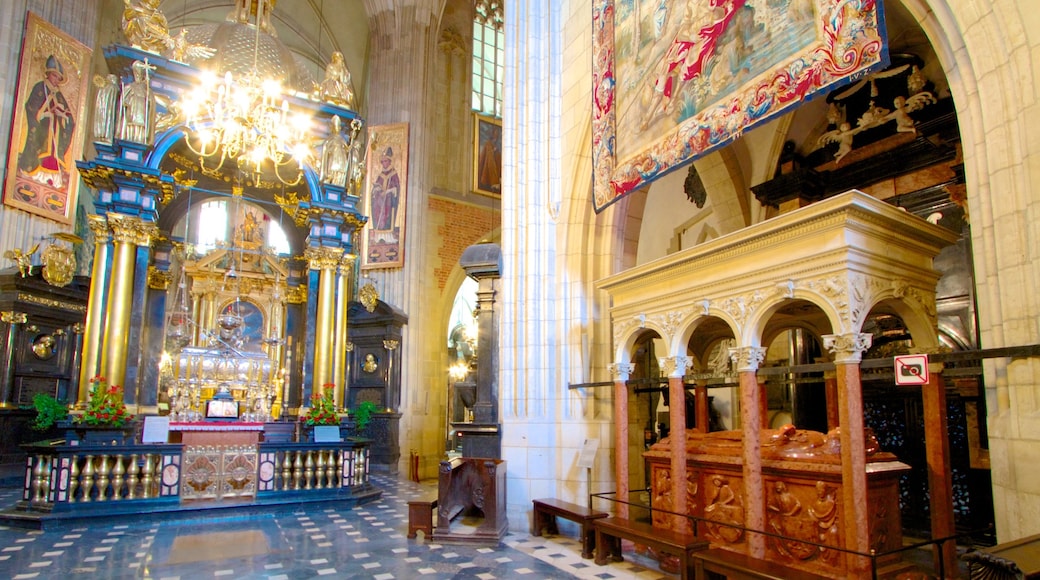 Wawel-katedralen fasiliteter samt kirke eller katedral, innendørs og religion