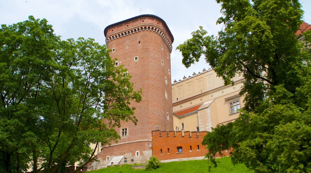 Planty Park showing a castle and heritage architecture