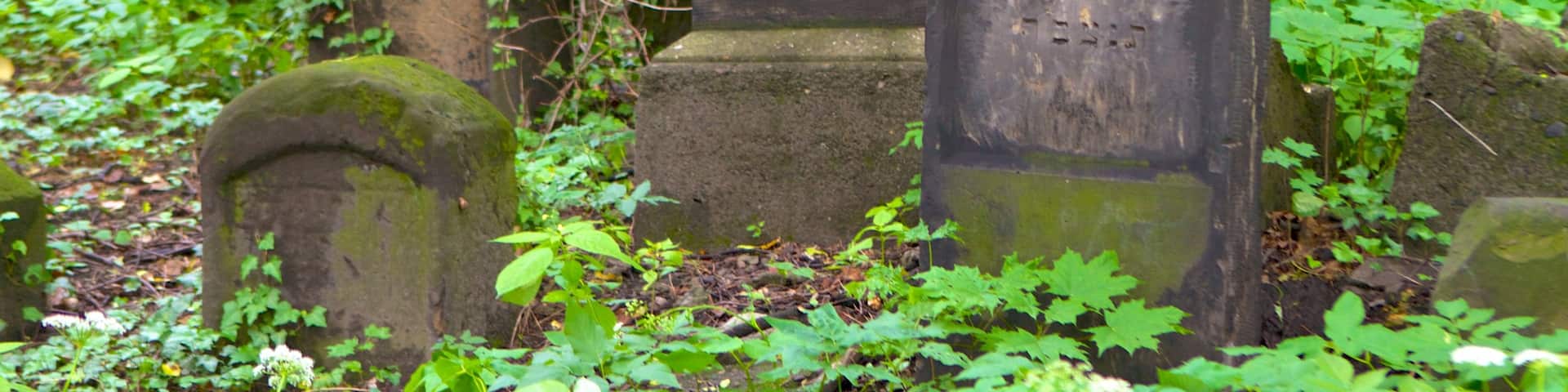 Jewish Cemetery featuring a cemetery
