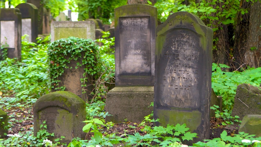 Cimitero ebraico mostrando cimitero