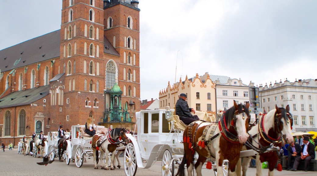 St. Mary\'s Basilica which includes a church or cathedral, street scenes and land animals