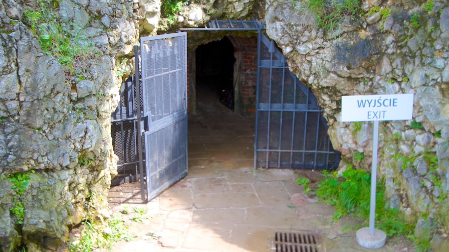 Dragon\'s Den caratteristiche di segnaletica e grotte