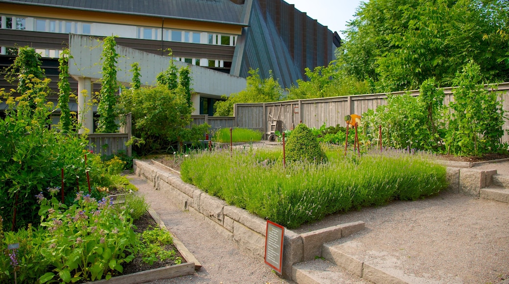 Vasa Museum showing a garden