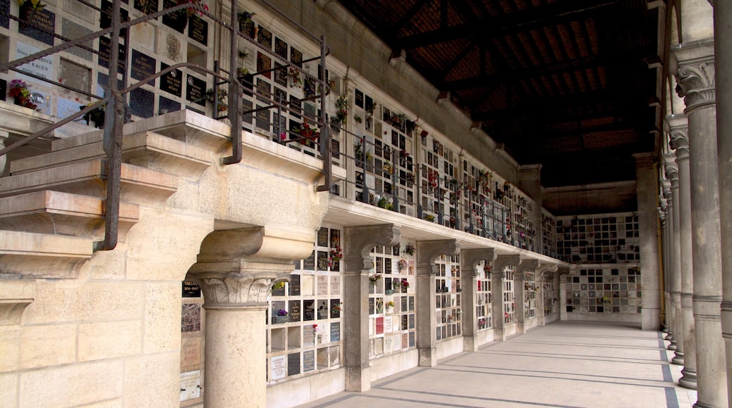 Pere Lachaise Cemetery featuring interior views and a cemetery