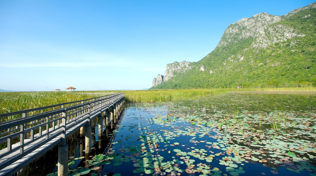 Khao Sam Roi Yot National Park which includes landscape views, mountains and wetlands