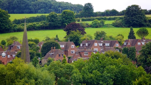 Eynsford featuring a small town or village, a house and tranquil scenes