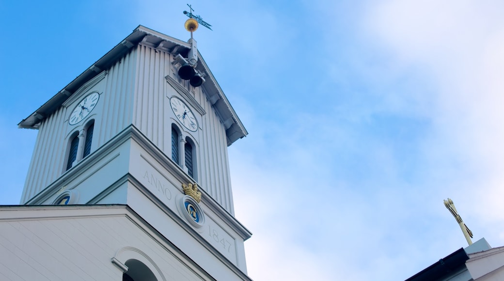 Dómkirkjan som visar en kyrka eller katedral och religiösa aspekter