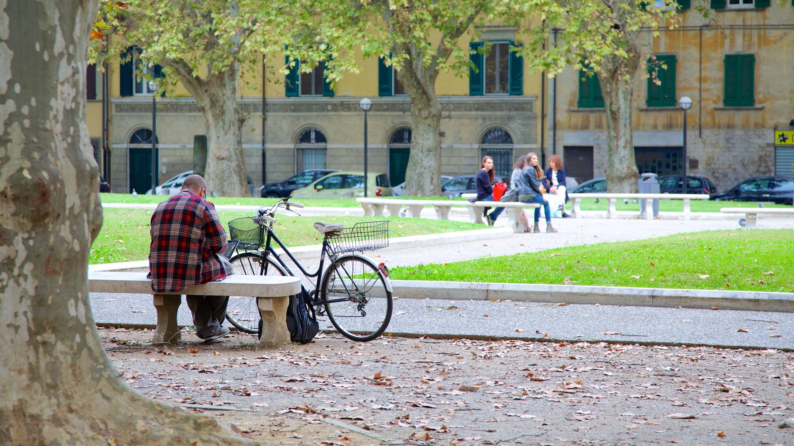 Pisa featuring a garden and cycling as well as an individual male