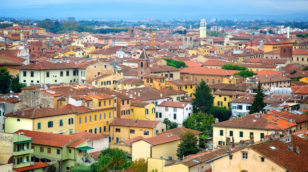 Pisa toont een stad en skyline