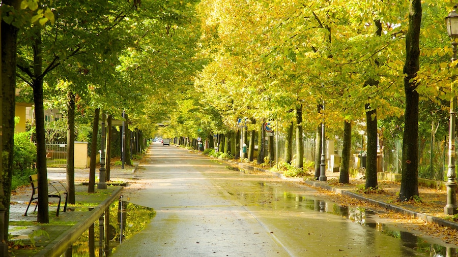 Lago Massaciuccoli ofreciendo jardín y imágenes de calles