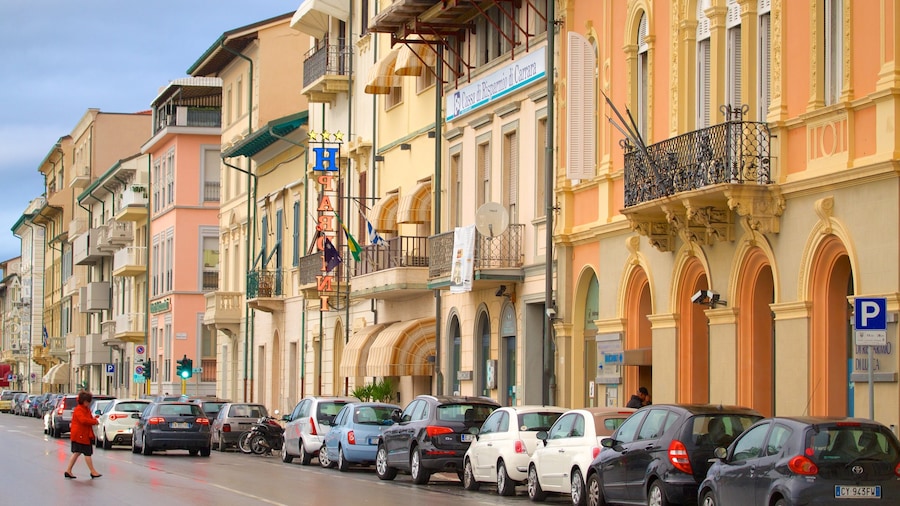 Viareggio mostrando imágenes de calles y una casa y también una mujer